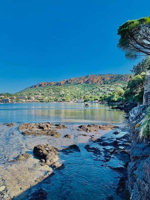 Vue Exceptionnelle - 4 Pers. Jardin Clim Parking Apartment Saint-Raphael (Var)