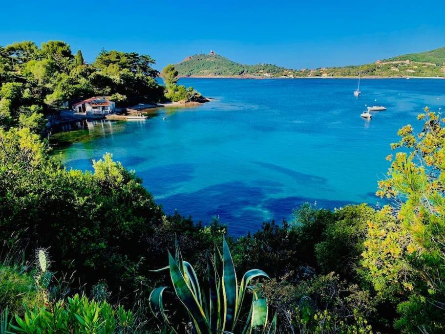 Vue Exceptionnelle - 4 Pers. Jardin Clim Parking * Saint-Raphael (Var)