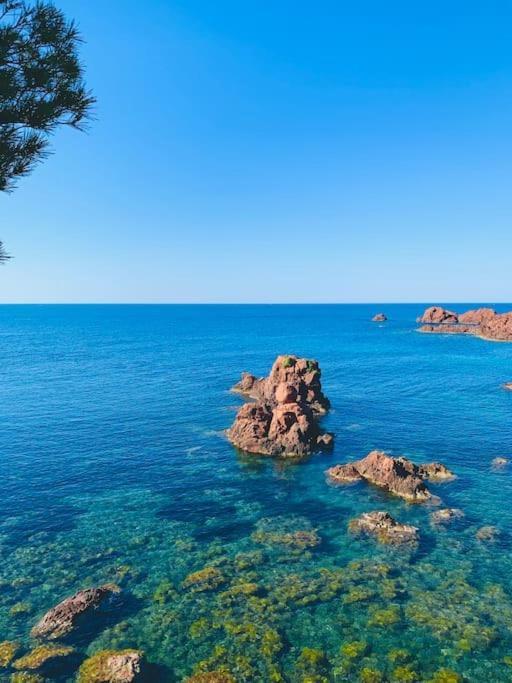 Vue Exceptionnelle - 4 Pers. Jardin Clim Parking * Saint-Raphael (Var)